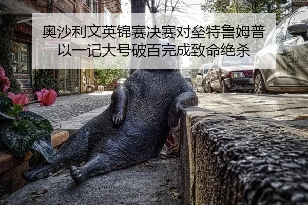 ao-sha-li-wen-ying-jin-sai-jue-sai-dui-lei-te-lu-mu-pu-yi-yi-ji-da-hao-po-bai-wan-cheng-zhi-ming-jue-sha-2-104.jpg