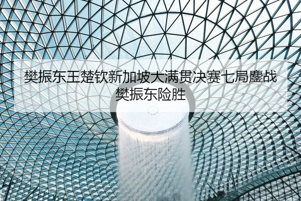樊振东王楚钦新加坡大满贯决赛七局鏖战樊振东险胜