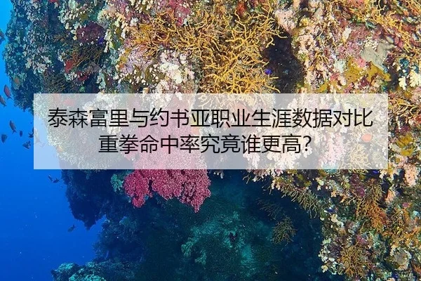 tai-sen-fu-li-yu-yue-shu-ya-zhi-ye-sheng-ya-shu-ju-dui-bi-zhong-quan-ming-zhong-lv-jiu-jing-shui-geng-gao-3-100.jpg